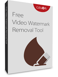 GiliSoft Video Watermark Removal Tool Crack