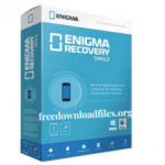 Enigma Recovery Professional Crack