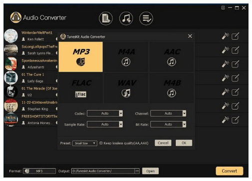 tuneskit audio converter download