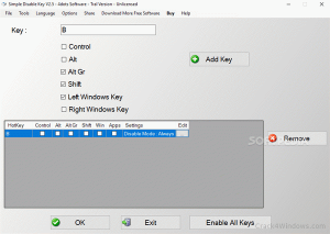 Simple Disable Key Crack